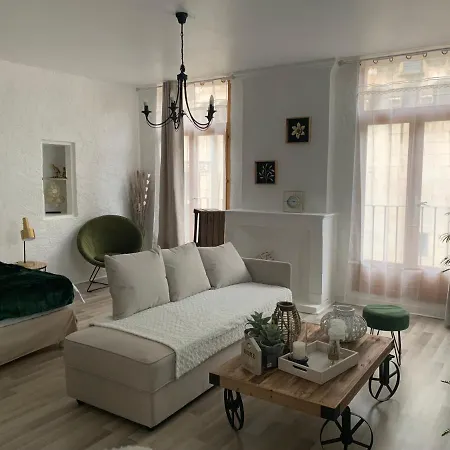 Le Green&peace Centre Historique, En Face Du Musée Du Pilori, à 2mn à Pied De L'hyper Centre Et Proche Toutes Commodités, Wifi-netflix Appartement