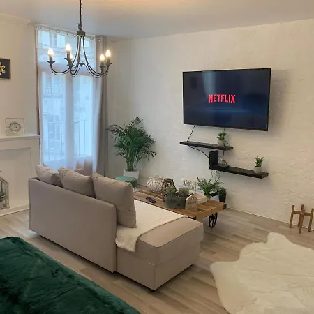 Appartement Le Green&peace Centre Historique, En Face Du Musée Du Pilori, à 2mn à Pied De L'hyper Centre Et Proche Toutes Commodités, Wifi-netflix